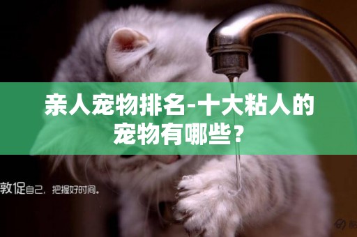 親人寵物排名-十大粘人的寵物有哪些？