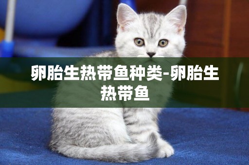 卵胎生熱帶魚種類-卵胎生熱帶魚