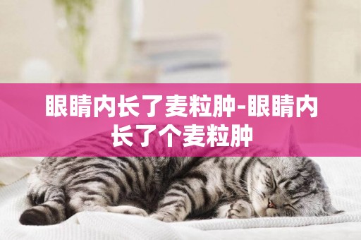 眼睛內長了麥粒腫-眼睛內長了個麥粒腫