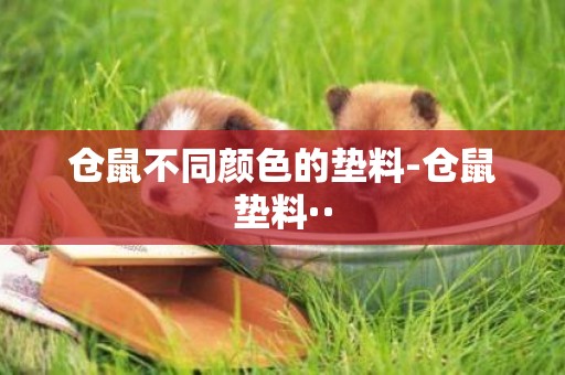倉鼠不同顏色的墊料-倉鼠墊料··