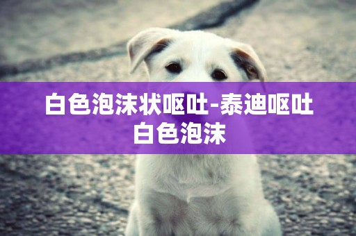 白色泡沫狀嘔吐-泰迪嘔吐白色泡沫