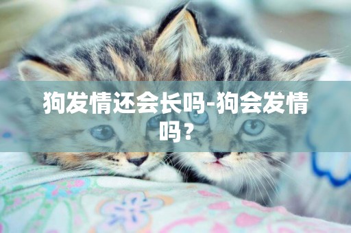 狗發情還會長嗎-狗會發情嗎？