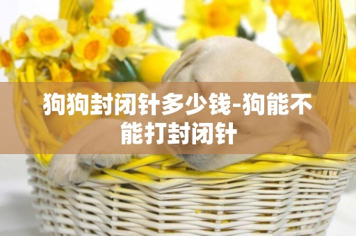 狗狗封閉針多少錢-狗能不能打封閉針