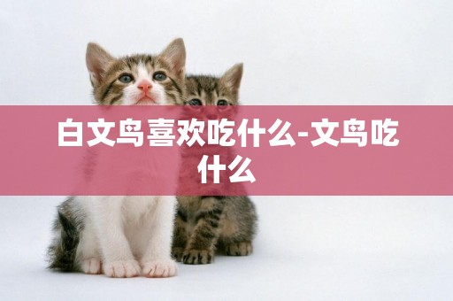 白文鳥喜歡吃什么-文鳥吃什么