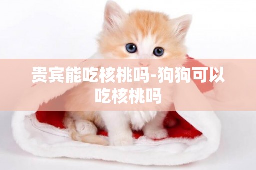 貴賓能吃核桃嗎-狗狗可以吃核桃嗎
