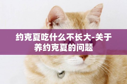 約克夏吃什么不長大-關于養約克夏的問題