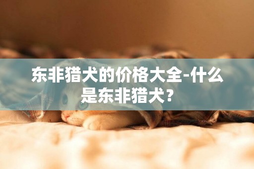 東非獵犬的價格大全-什么是東非獵犬？