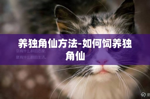 養獨角仙方法-如何飼養獨角仙