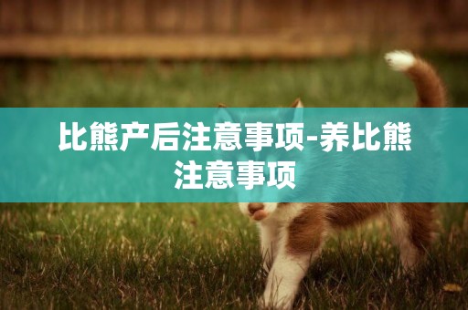 比熊產后注意事項-養比熊注意事項