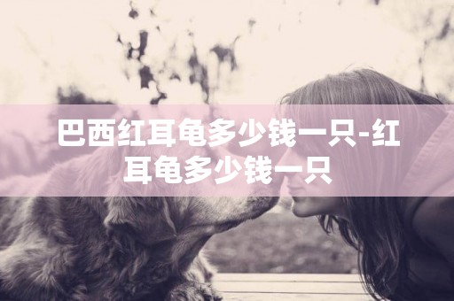 巴西紅耳龜多少錢一只-紅耳龜多少錢一只