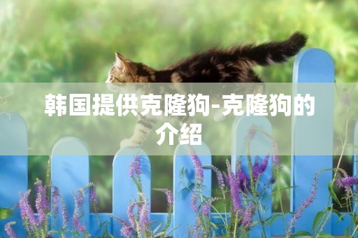 韓國提供克隆狗-克隆狗的介紹