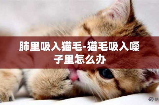 肺里吸入貓毛-貓毛吸入嗓子里怎么辦