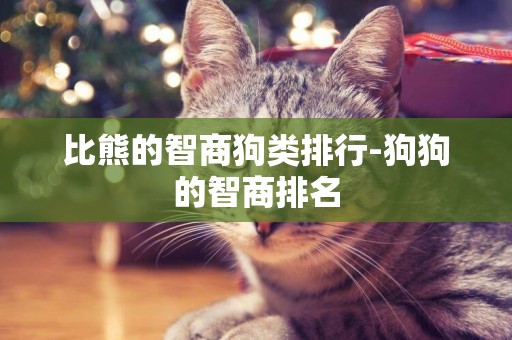 比熊的智商狗類排行-狗狗的智商排名