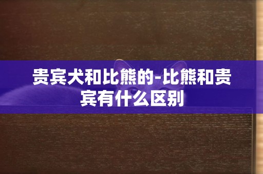 貴賓犬和比熊的-比熊和貴賓有什么區別