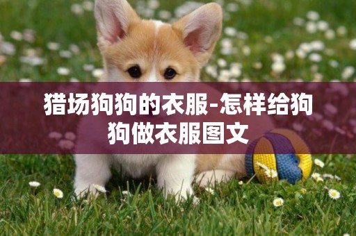 獵場狗狗的衣服-怎樣給狗狗做衣服圖文