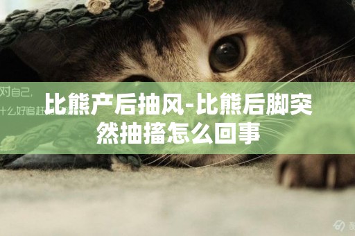 比熊產后抽風-比熊后腳突然抽搐怎么回事