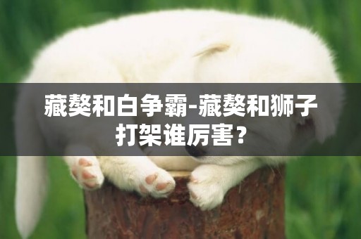 藏獒和白爭霸-藏獒和獅子打架誰厲害？