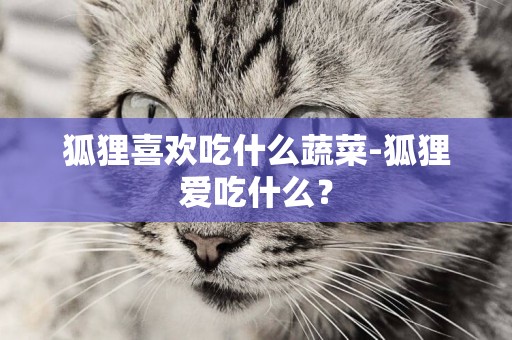 狐貍喜歡吃什么蔬菜-狐貍愛吃什么？