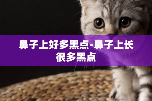 鼻子上好多黑點-鼻子上長很多黑點