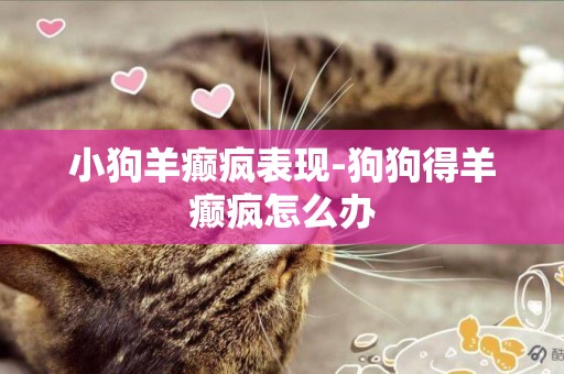 小狗羊癲瘋表現-狗狗得羊癲瘋怎么辦