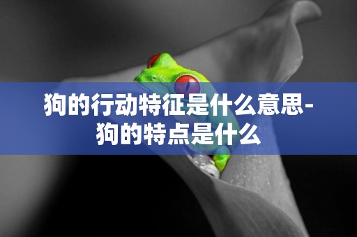 狗的行動特征是什么意思-狗的特點是什么