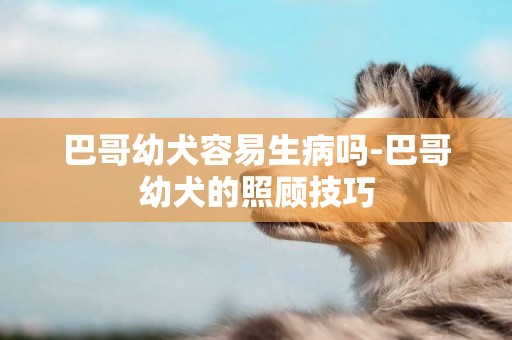 巴哥幼犬容易生病嗎-巴哥幼犬的照顧技巧