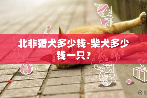 北非獵犬多少錢-柴犬多少錢一只？