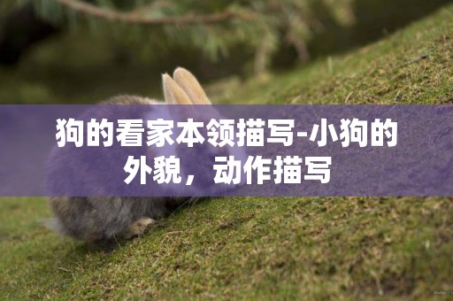狗的看家本領描寫-小狗的外貌，動作描寫