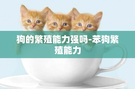 狗的繁殖能力強嗎-苯狗繁殖能力