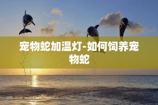 寵物蛇加溫燈-如何飼養寵物蛇