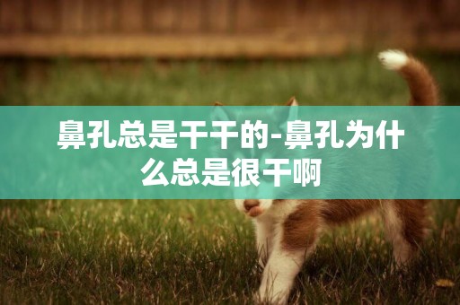 鼻孔總是干干的-鼻孔為什么總是很干啊