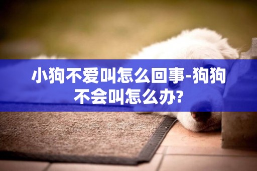 小狗不愛叫怎么回事-狗狗不會叫怎么辦?