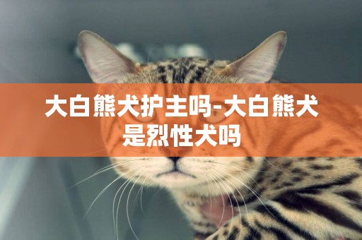 大白熊犬護主嗎-大白熊犬是烈性犬嗎
