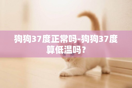 狗狗37度正常嗎-狗狗37度算低溫嗎？
