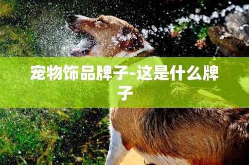 寵物飾品牌子-這是什么牌子