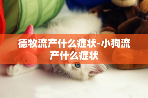 德牧流產什么癥狀-小狗流產什么癥狀