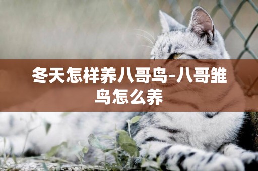 冬天怎樣養八哥鳥-八哥雛鳥怎么養