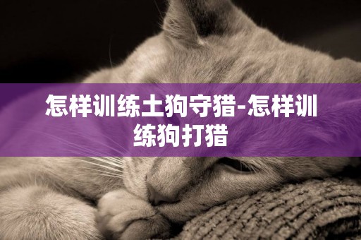 怎樣訓練土狗守獵-怎樣訓練狗打獵