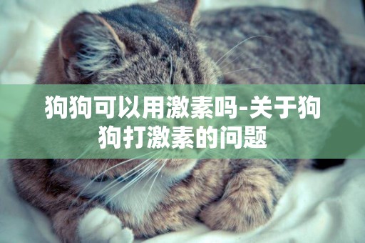 狗狗可以用激素嗎-關于狗狗打激素的問題