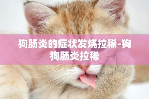 狗腸炎的癥狀發燒拉稀-狗狗腸炎拉稀