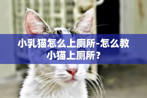 小乳貓怎么上廁所-怎么教小貓上廁所？