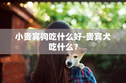 小貴賓狗吃什么好-貴賓犬吃什么？