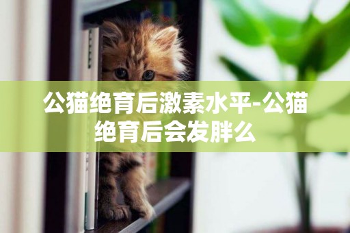 公貓絕育后激素水平-公貓絕育后會發胖么