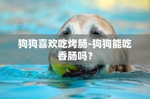 狗狗喜歡吃烤腸-狗狗能吃香腸嗎？