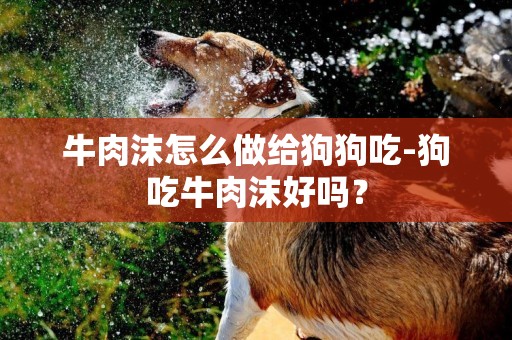 牛肉沫怎么做給狗狗吃-狗吃牛肉沫好嗎？