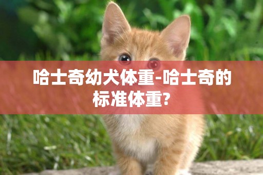 哈士奇幼犬體重-哈士奇的標準體重?