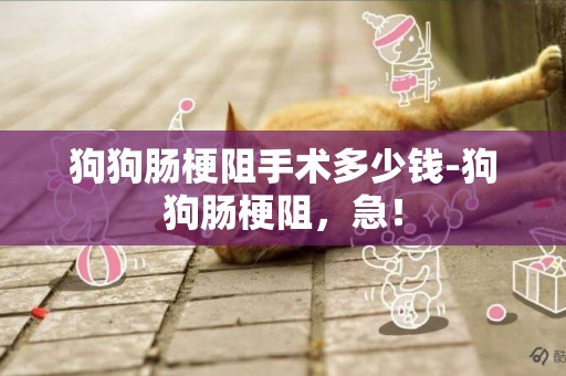 狗狗腸梗阻手術多少錢-狗狗腸梗阻，急！