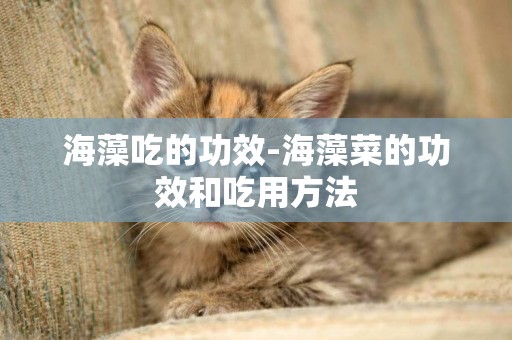 海藻吃的功效-海藻菜的功效和吃用方法
