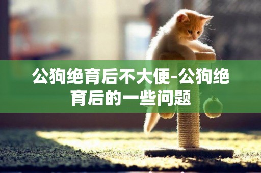 公狗絕育后不大便-公狗絕育后的一些問題