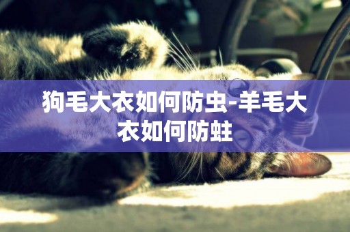 狗毛大衣如何防蟲-羊毛大衣如何防蛀